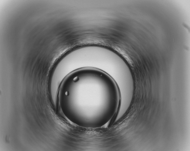 X0000095900399200801251228