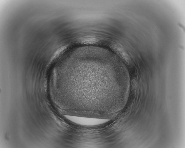 X0000095900400200801251228