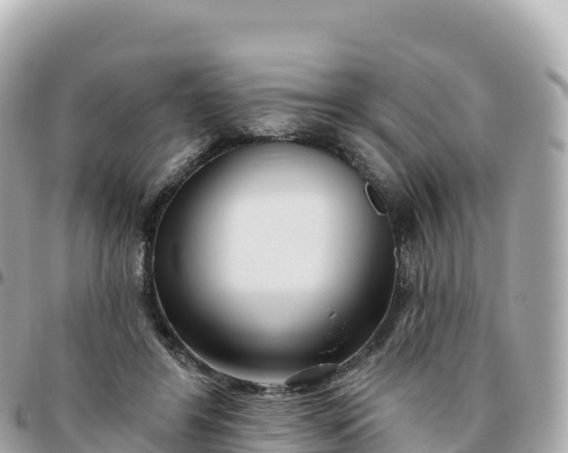 X0000095900404200801251228