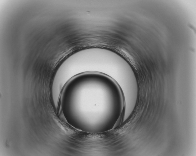 X0000095900405200801251228