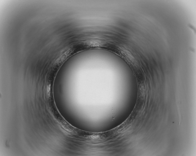 X0000095900406200801251228