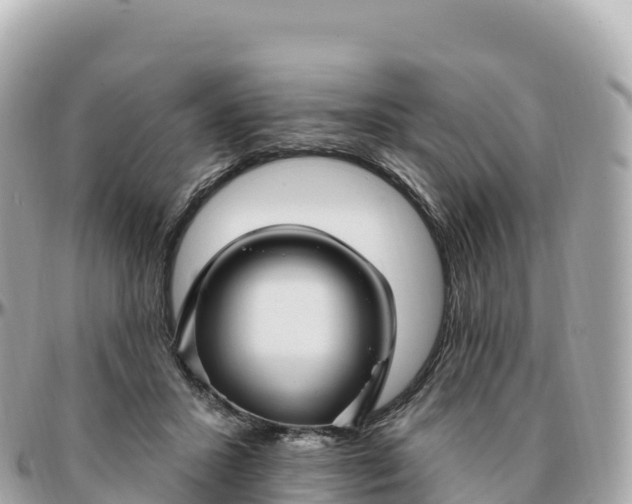 X0000095900407200801251228