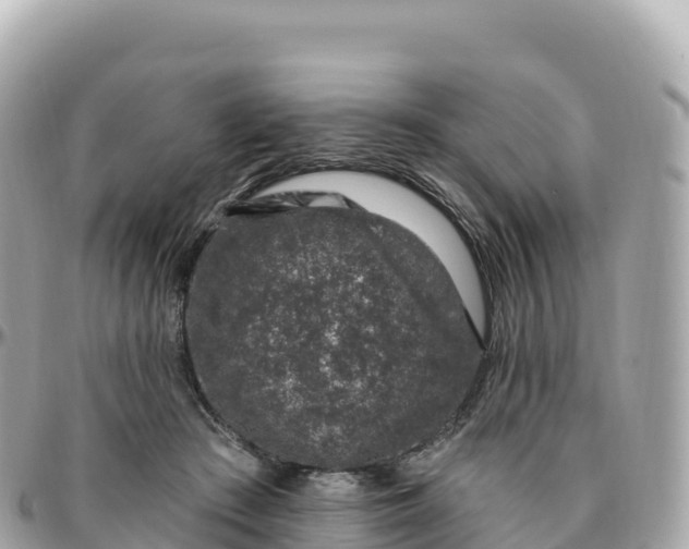 X0000095900409200801251228