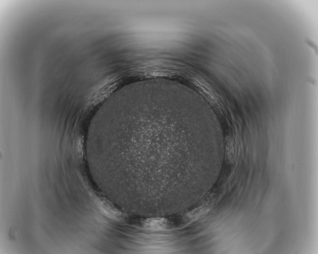 X0000095900410200801251228