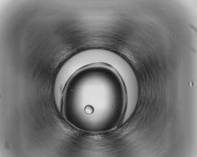 X0000095900411200801251228