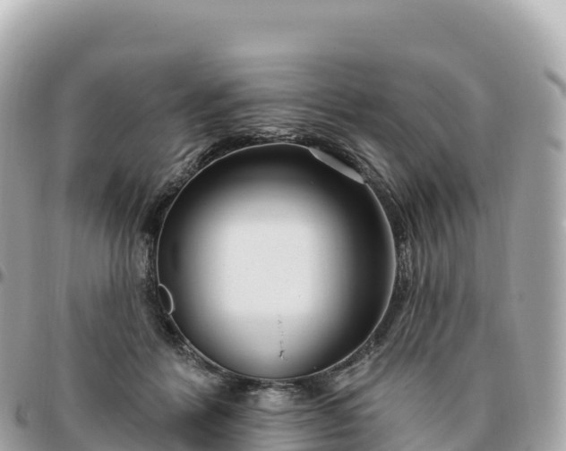 X0000095900412200801251228