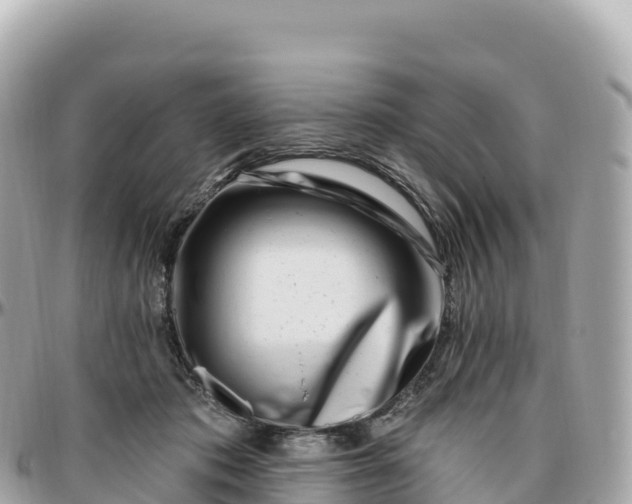 X0000095900413200801251228