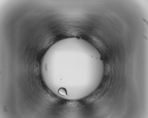 X0000095900414200801251228