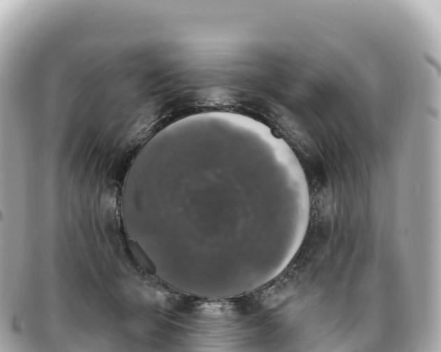 X0000095900415200801251228