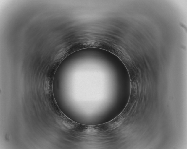 X0000095900416200801251228