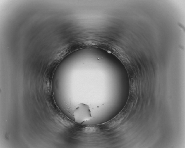 X0000095900418200801251228