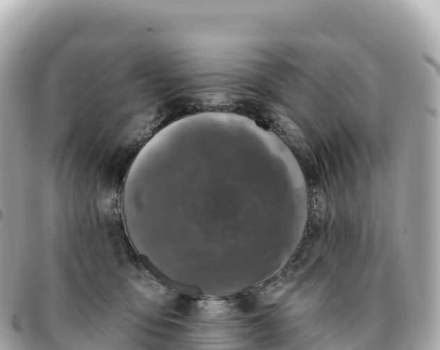 X0000095900419200801251228