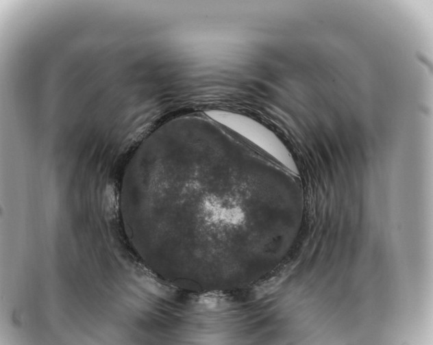 X0000095900420200801251228