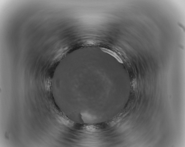 X0000095900423200801251228