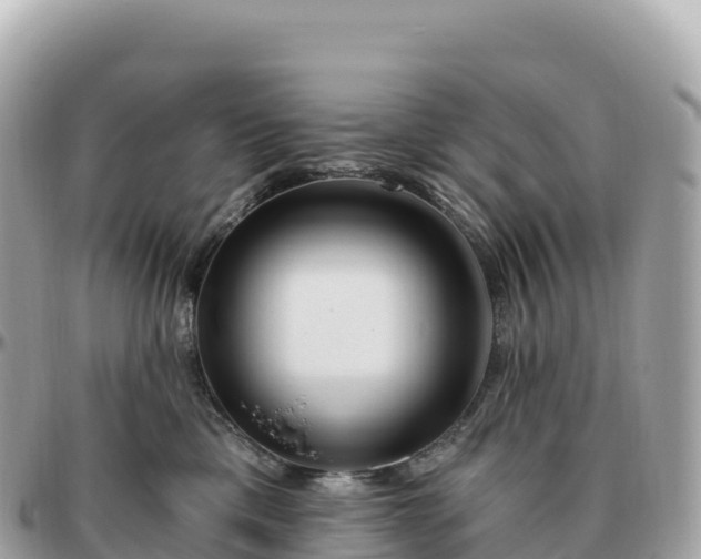 X0000095900425200801251228