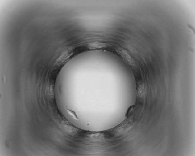 X0000095900426200801251228