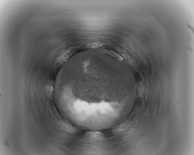 X0000095900427200801251228