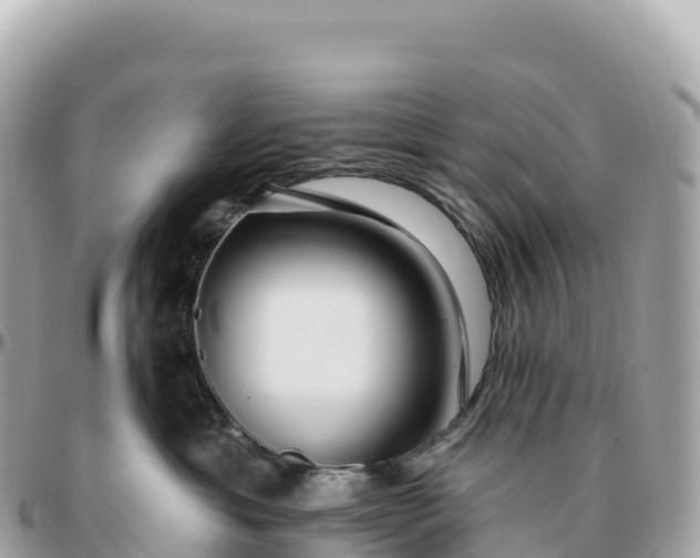 X0000095900429200801251228