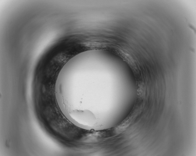 X0000095900430200801251228