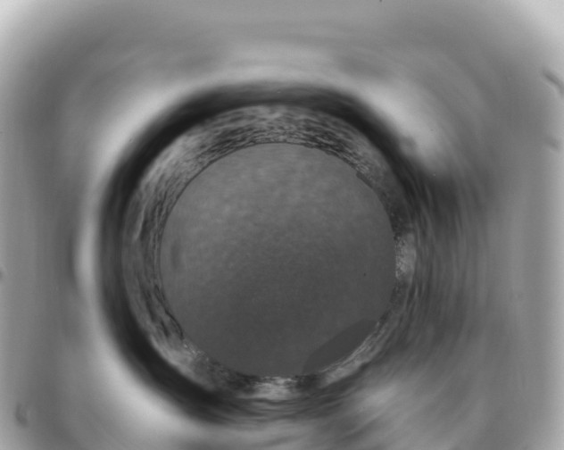 X0000095900431200801251228