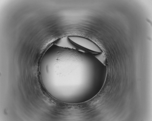 X0000095900434200801251227