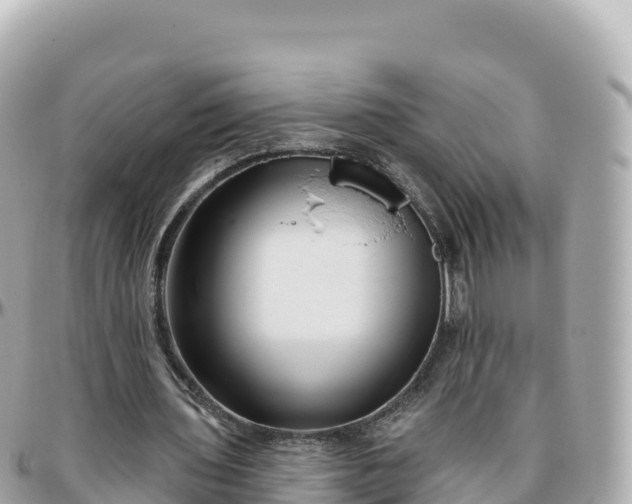 X0000095900435200801251227