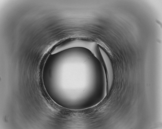 X0000095900436200801251227