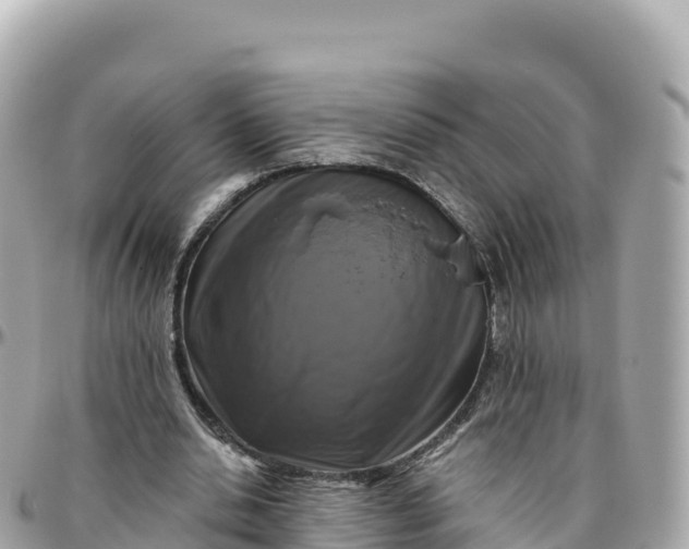 X0000095900438200801251227