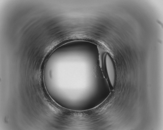 X0000095900439200801251227