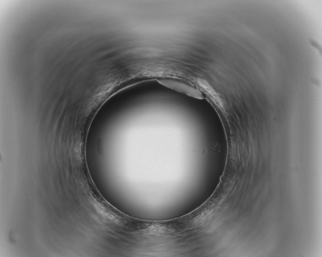 X0000095900441200801251227