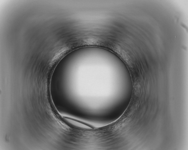 X0000095900442200801251227