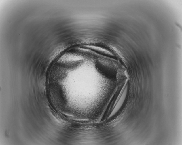 X0000095900443200801251227