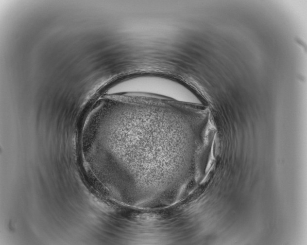 X0000095900444200801251227