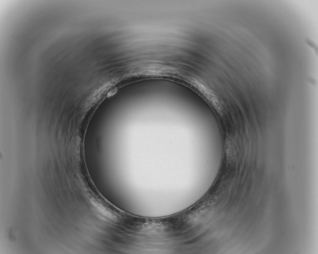 X0000095900445200801251227