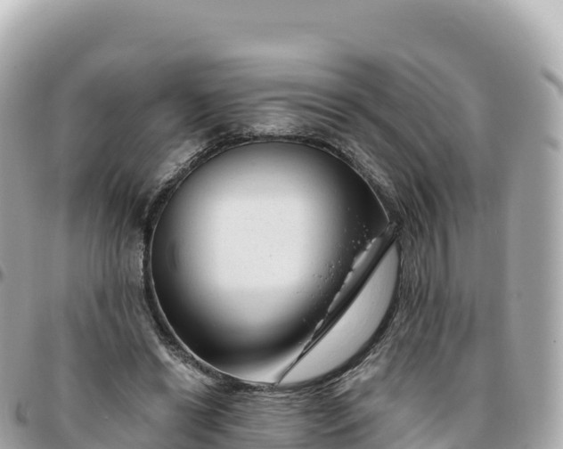 X0000095900446200801251227