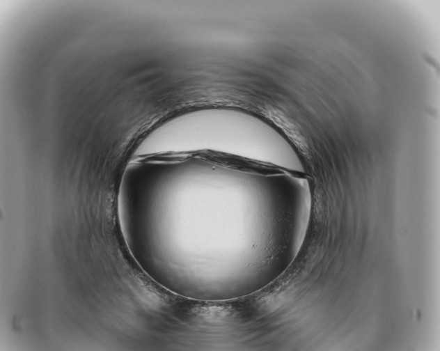 X0000095900449200801251228