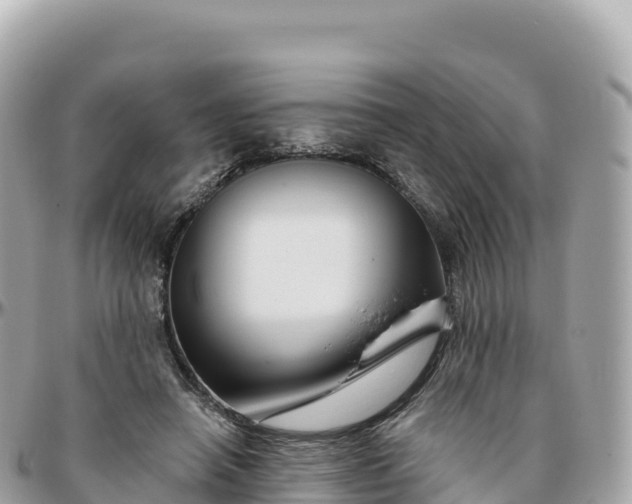 X0000095900450200801251228