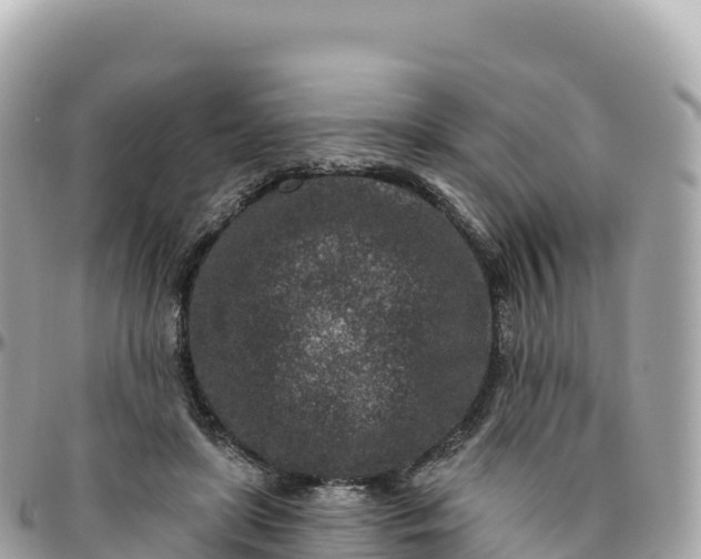 X0000095900451200801251228