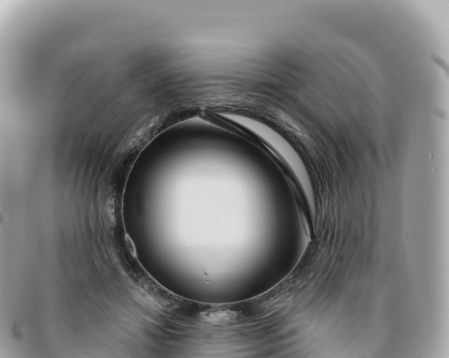 X0000095900452200801251228