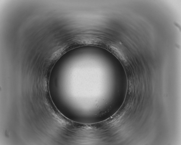 X0000095900453200801251228