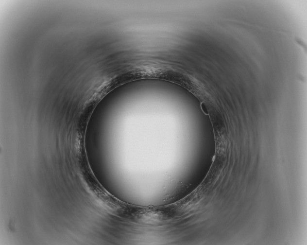 X0000095900456200801251228