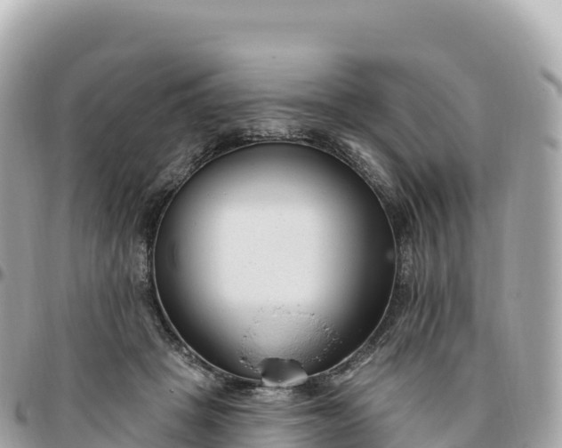 X0000095900457200801251228