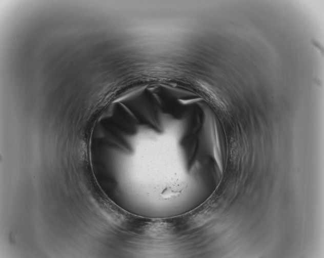 X0000095900459200801251228