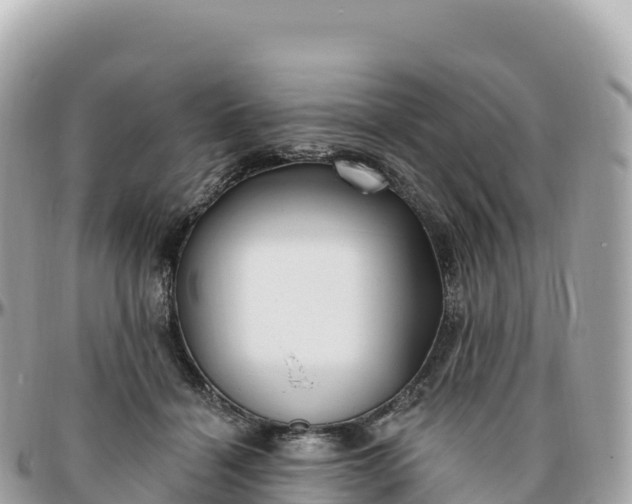 X0000095900460200801251228