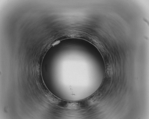 X0000095900461200801251228