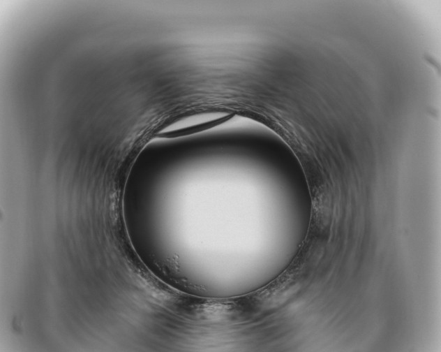 X0000095900462200801251228