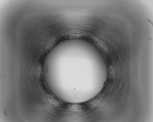 X0000095900463200801251228