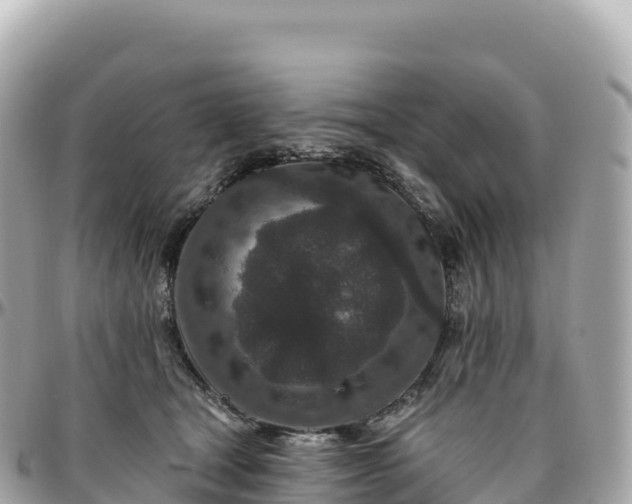 X0000095900465200801251228