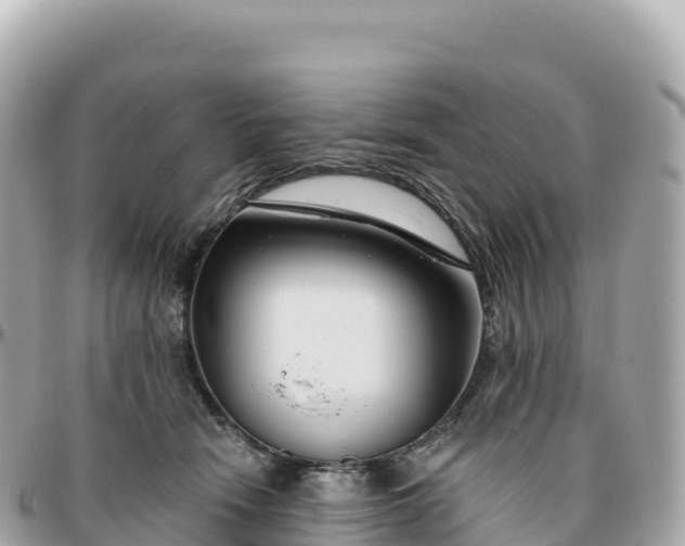 X0000095900466200801251228