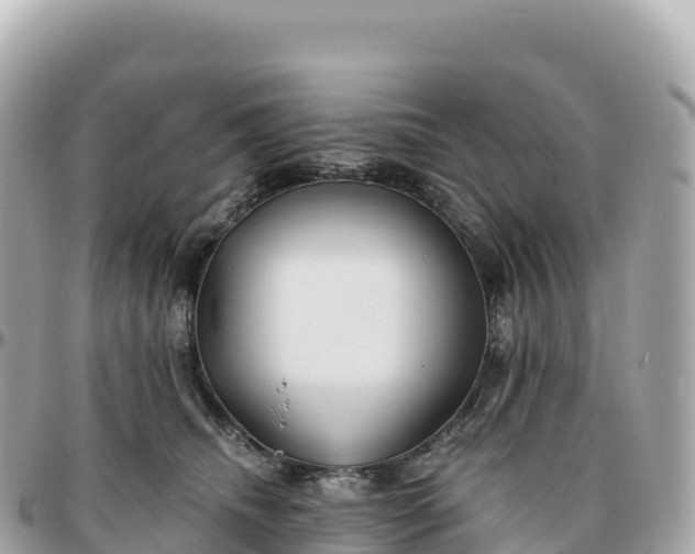 X0000095900468200801251228